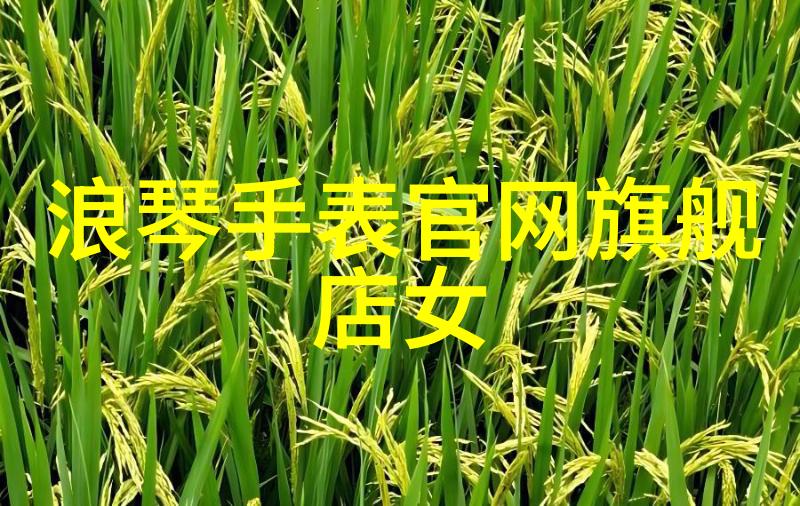 欧米茄海马Aqua Terra GMT同轴计时表